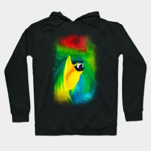 Macaw Parrot Flight Oil Painting ArtWork Hoodie